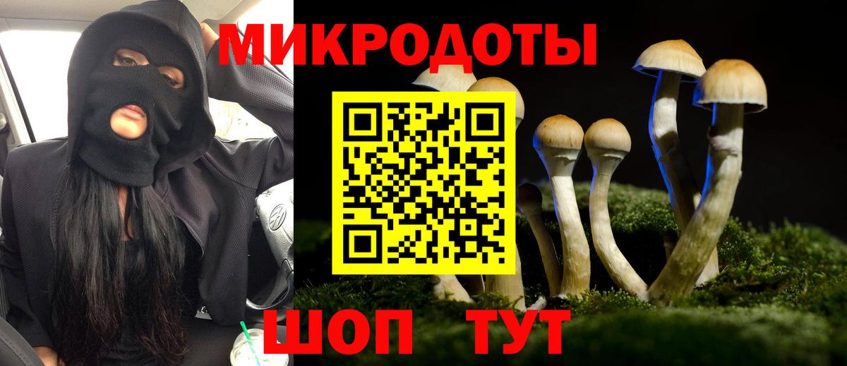 Гашиш Вологда
