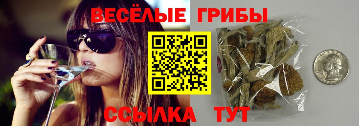 Вологда  Псилоцибиновые грибы Cubensis  закладка  Вход с VPN 